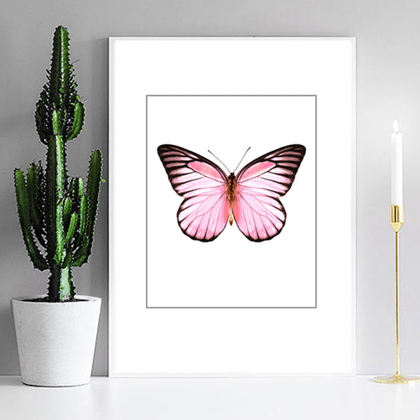 Butterfly Art Posters And Prints