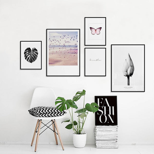 Butterfly Art Posters And Prints