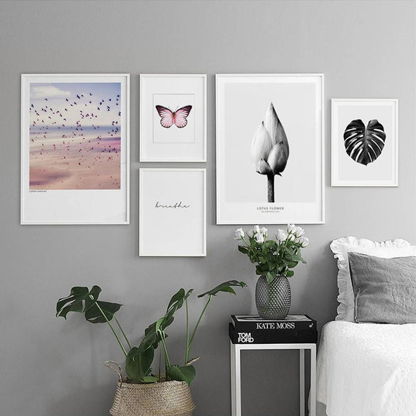 Butterfly Art Posters And Prints